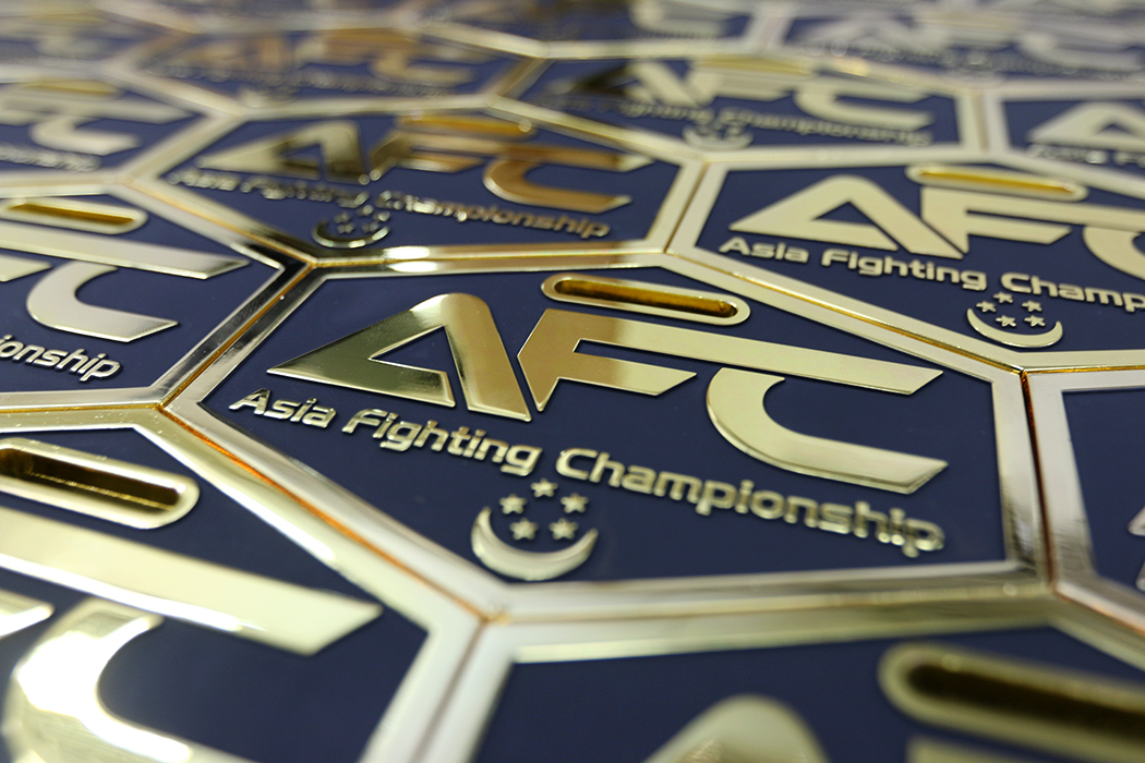 Werks Solutions Asia Fighting Championship